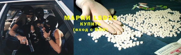 прущие грибы Богданович