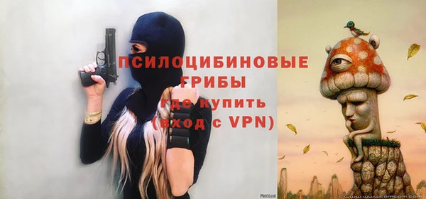 прущие грибы Беломорск