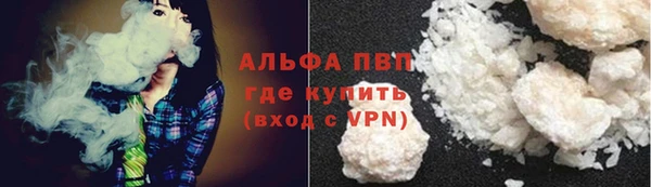 прущие грибы Беломорск