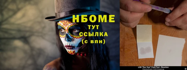 прущие грибы Беломорск