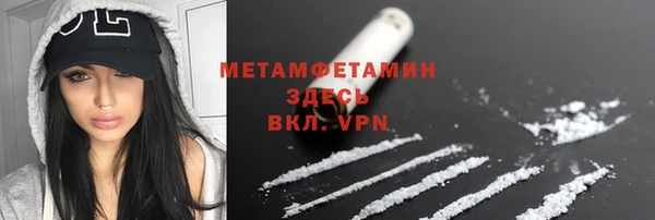 прущие грибы Беломорск