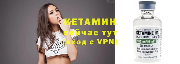 прущие грибы Богданович