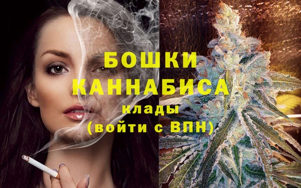прущие грибы Богданович
