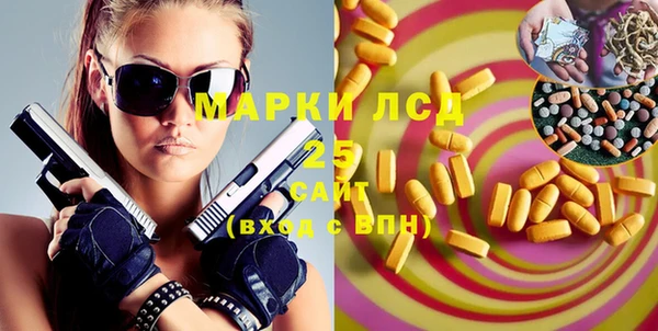 прущие грибы Беломорск