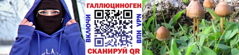 наркота Дюртюли Галлюциногенные грибы Psilocybine cubensis